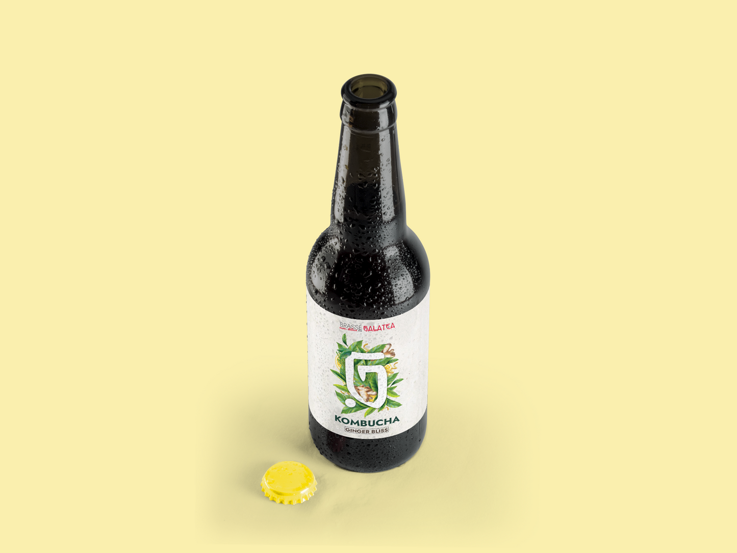 COFFRET KOMBUCHA - Ginger Bliss