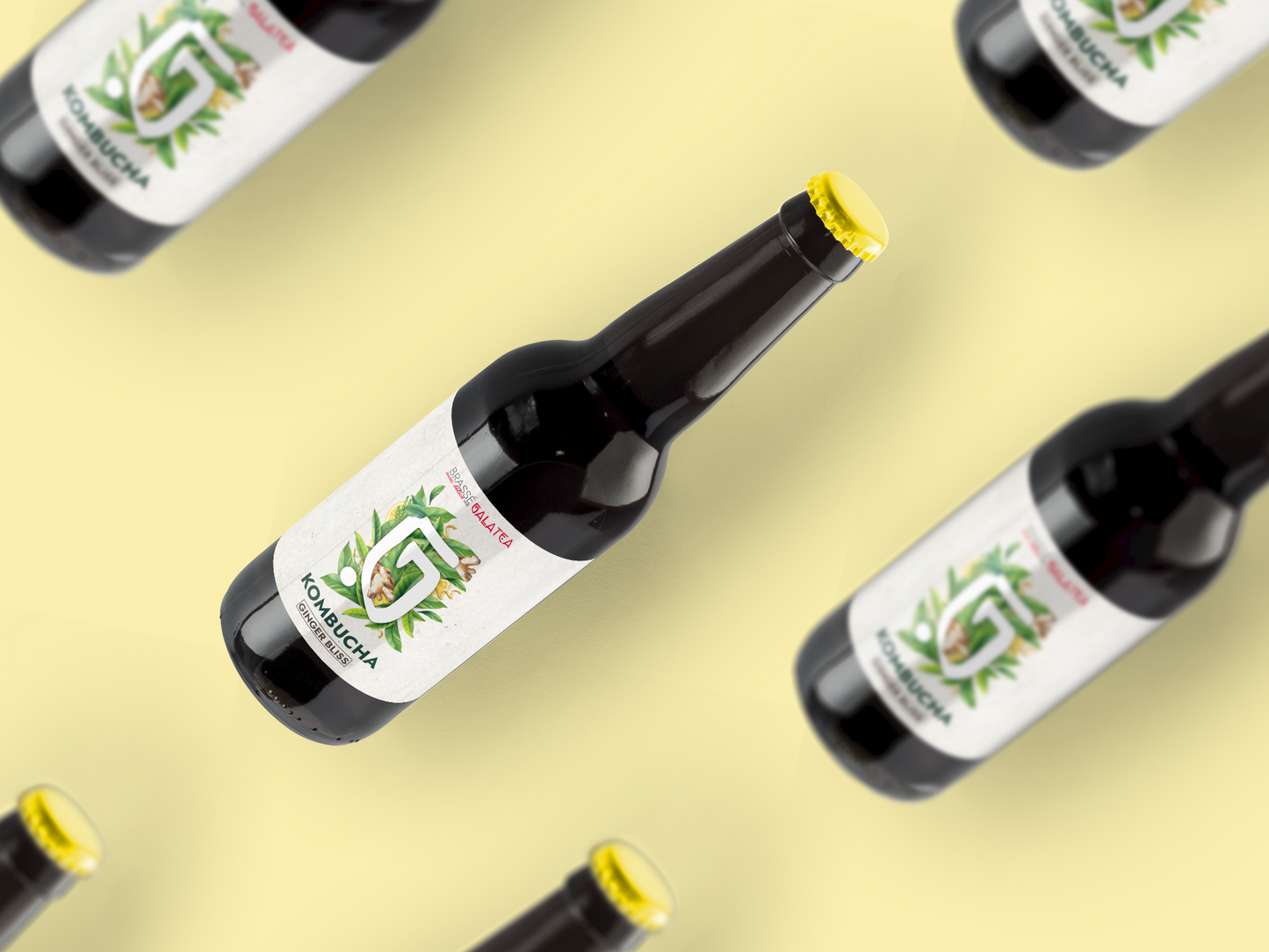 COFFRET KOMBUCHA - Ginger Bliss