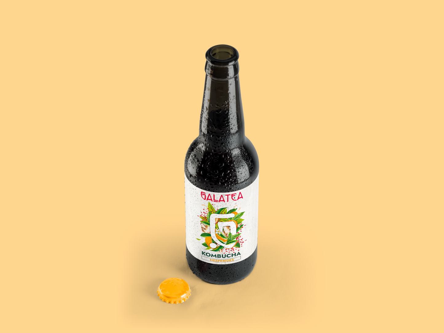 COFFRET KOMBUCHA - Hespérides