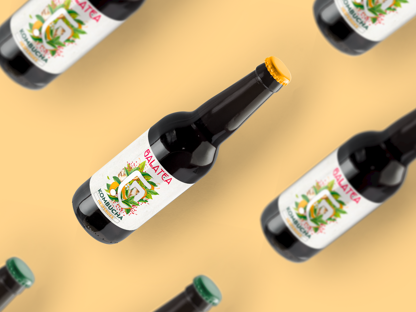 COFFRET KOMBUCHA - Hespérides