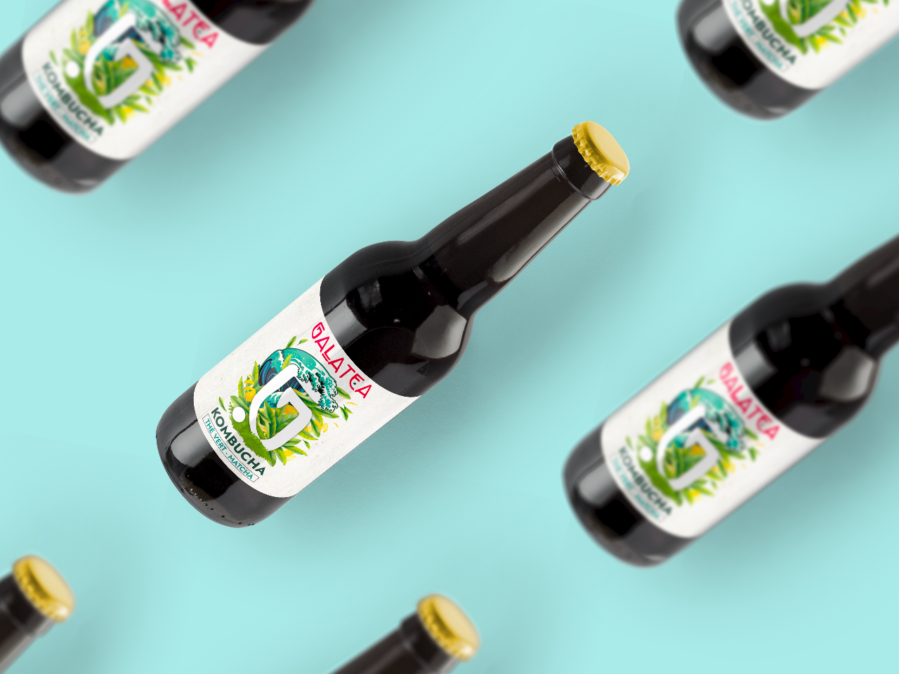 COFFRET KOMBUCHA - Thé Vert - Matcha