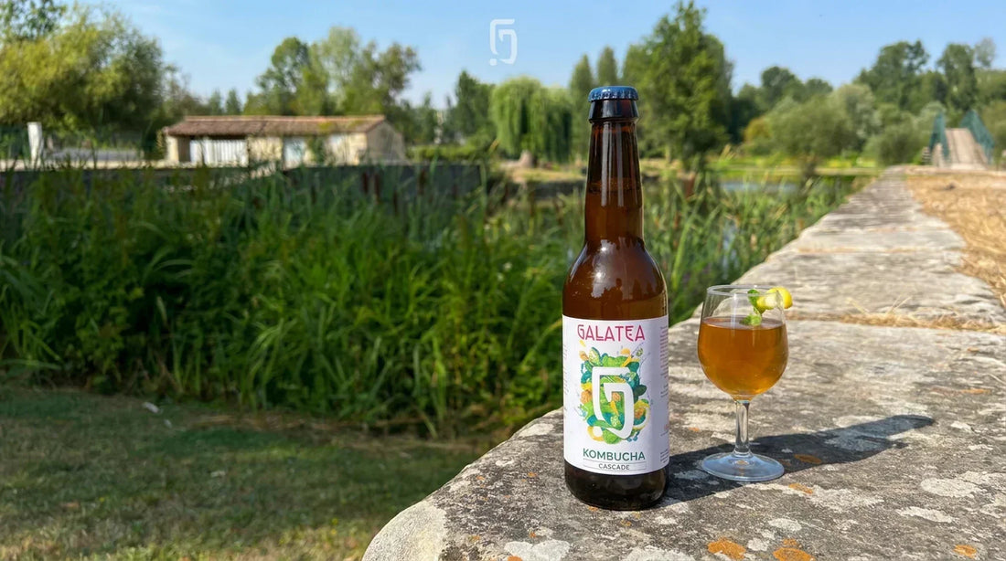 Bouteille de kombucha Cascade à capsule bleu marine, houblon-menthe