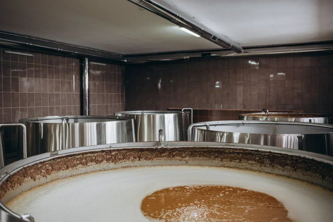 Cuves de fermentation kombucha chez Galatea en Gâtine — brassage artisanal vivant