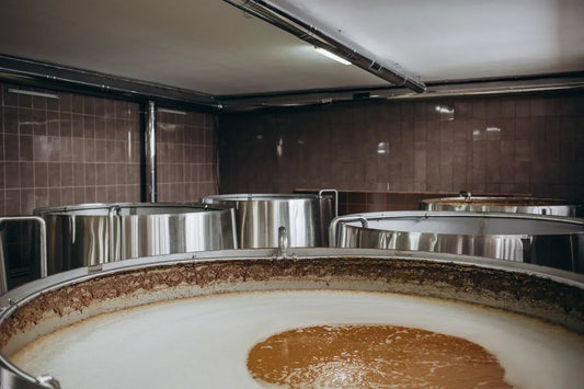 Cuves de fermentation kombucha chez Galatea en Gâtine — brassage artisanal vivant
