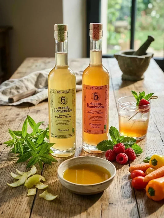 Élixirs de kombucha Galatea Framboise Menthe et Verveine avec ingrédients frais pour recettes et mocktails