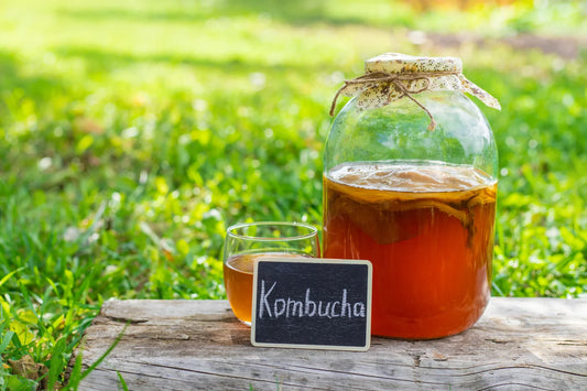 SCOBY de kombucha en fermentation dans une cuve artisanale — Galatea Kombucha, La Ferrière-en-Parthenay