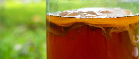 Cuves de fermentation Galatea Kombucha — le SCOBY en action, modèle du zoï-mimétisme appliqué à l'intelligence collective