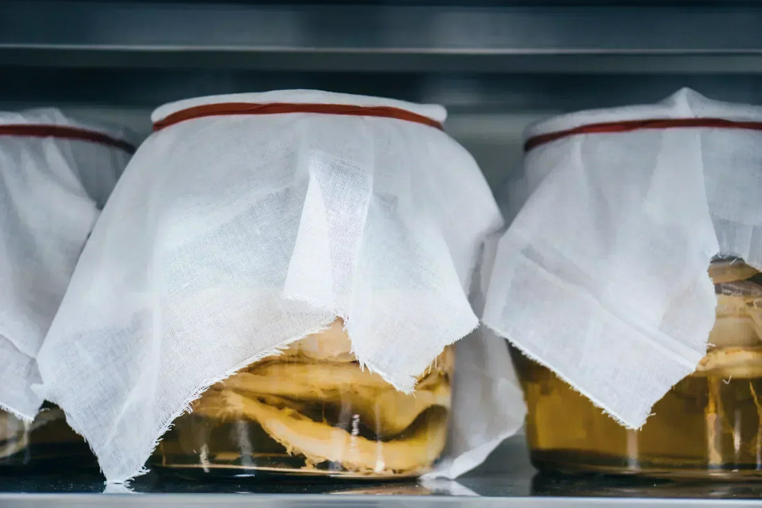 Fermentation et alcool : pourquoi votre kombucha ne vous monte pas à la tête