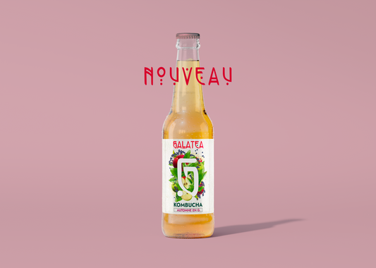 COFFRET KOMBUCHA - Automne en Gâtine