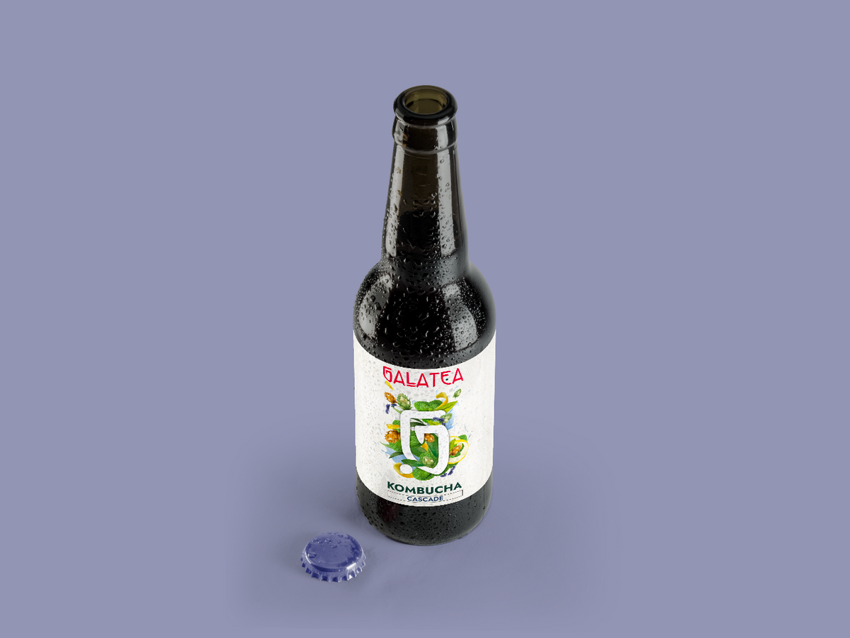 COFFRET KOMBUCHA - Cascade