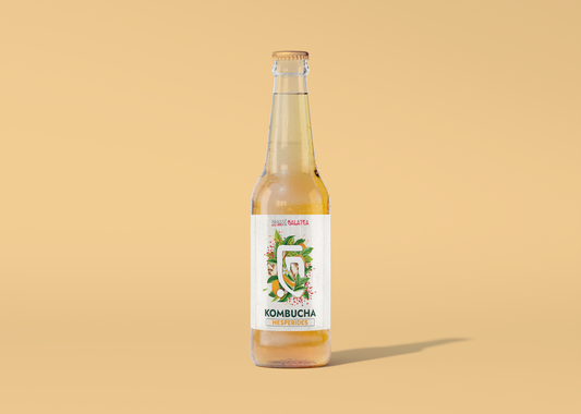 COFFRET KOMBUCHA - Hespérides