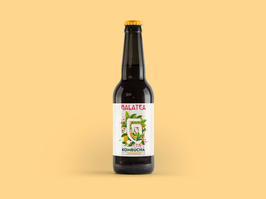 COFFRET KOMBUCHA - Hespérides
