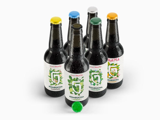 COFFRET KOMBUCHA - Assortiment de saveurs