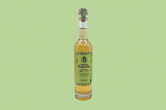 ÉLIXIR DE KOMBUCHA - Verveine